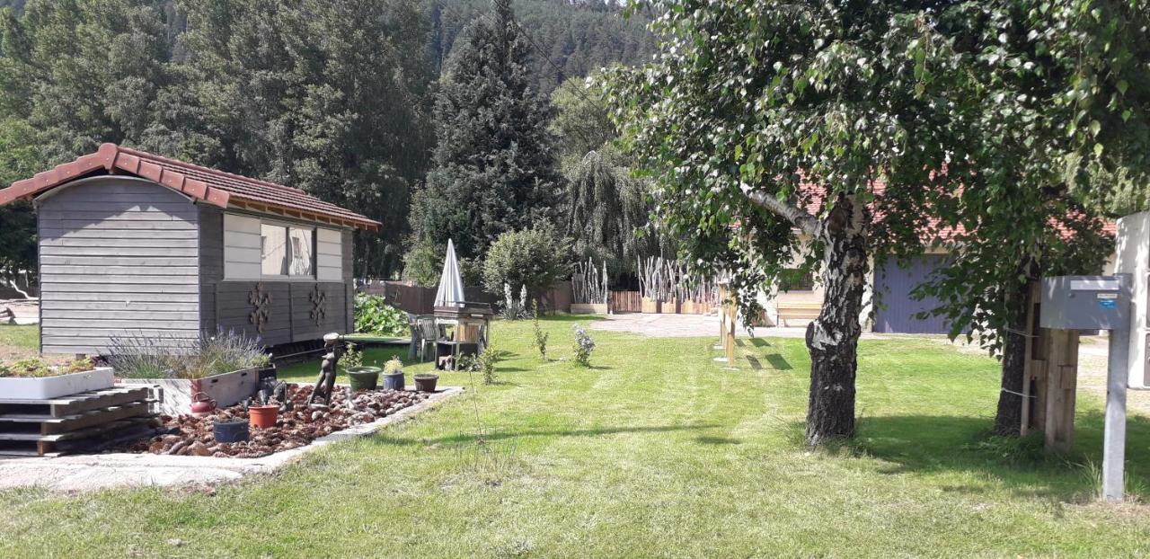 Gites, les Sapins, les Jonquilles, le Sagard nature et détente La Houssiere Exterior foto